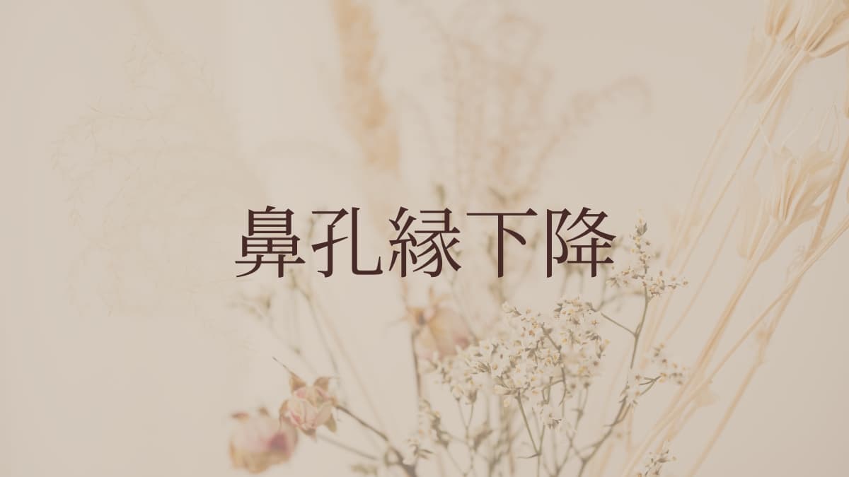 鼻孔縁下降