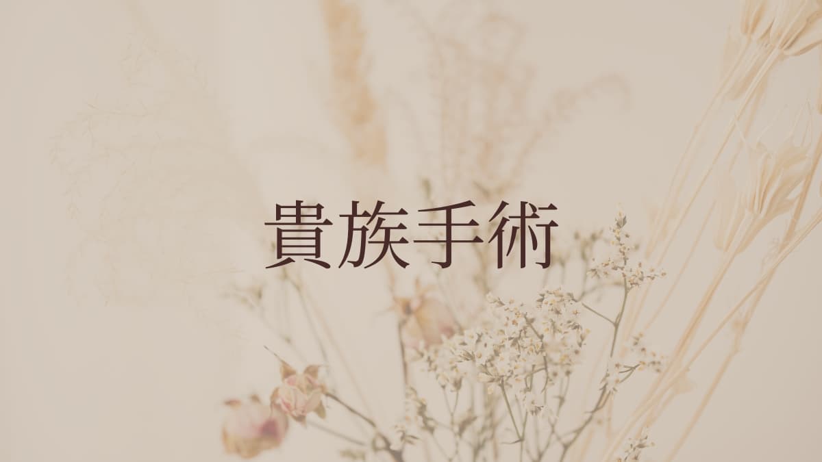 貴族手術