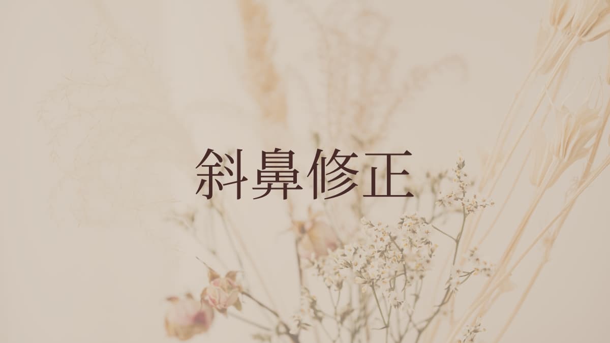 斜鼻修正