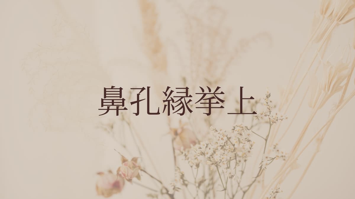 鼻孔縁挙上